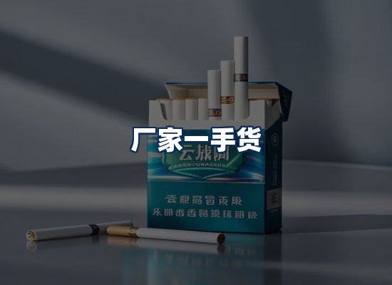 专业团队办公环境